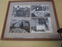 Old photos of cotton harvest